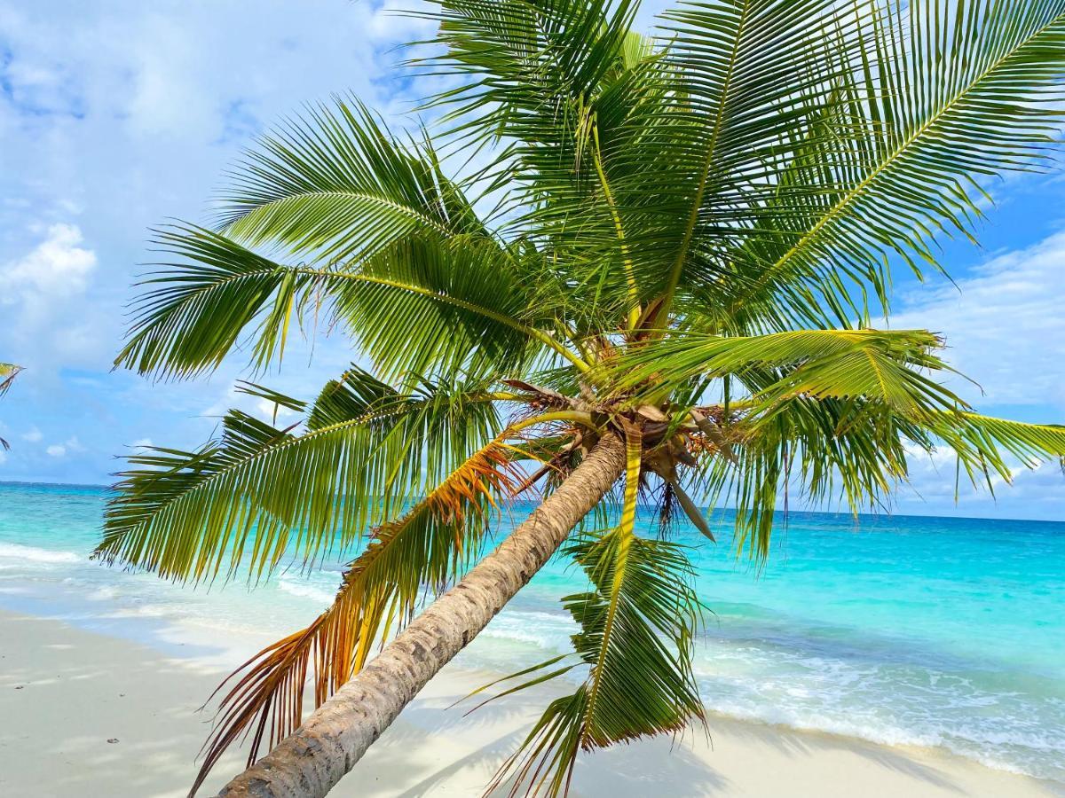 Tme Retreats Dhigurah Dhigurah (Alif Dhaal Atoll) Exterior foto