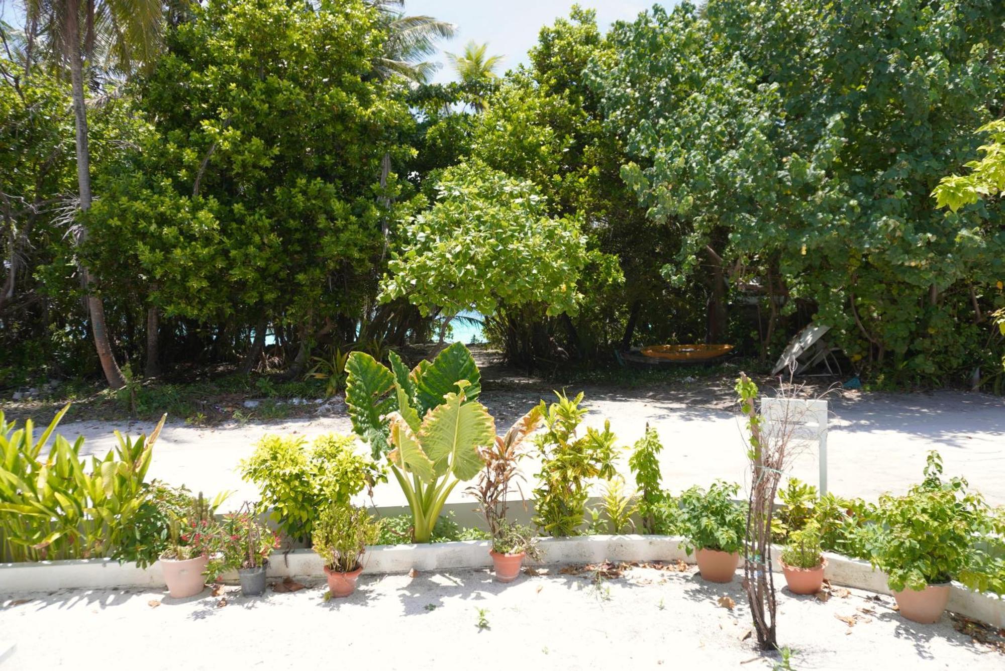 Tme Retreats Dhigurah Dhigurah (Alif Dhaal Atoll) Exterior foto