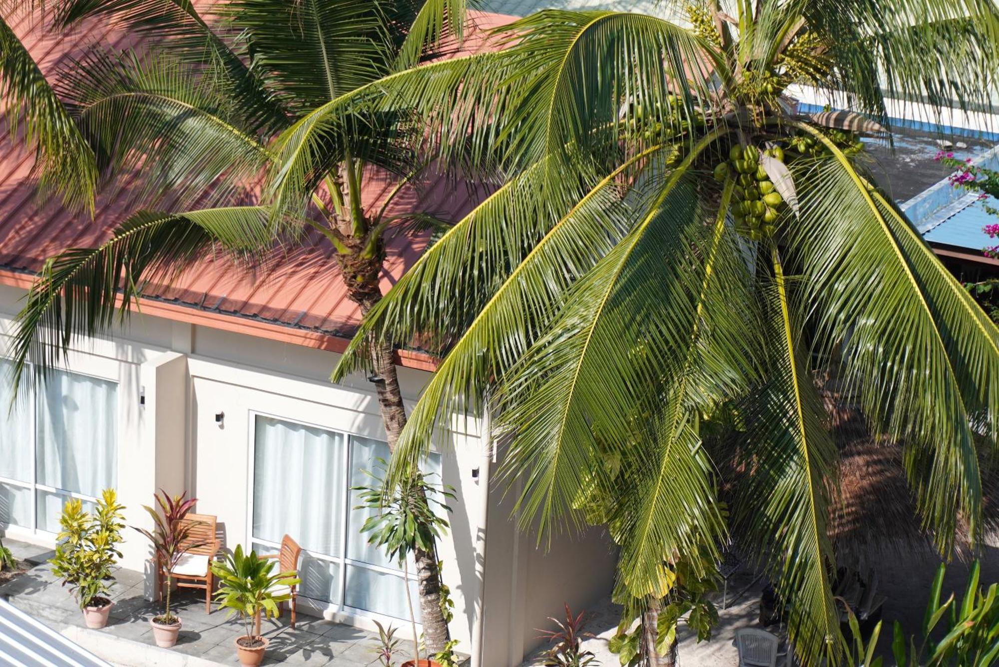 Tme Retreats Dhigurah Dhigurah (Alif Dhaal Atoll) Exterior foto